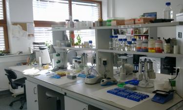 То, что раньше считалось невозможным, теперь получает Нобелевскую премию