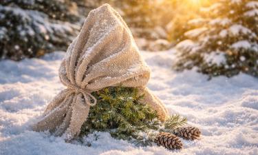 Хвойные растения укрывают дышащим спанбондом