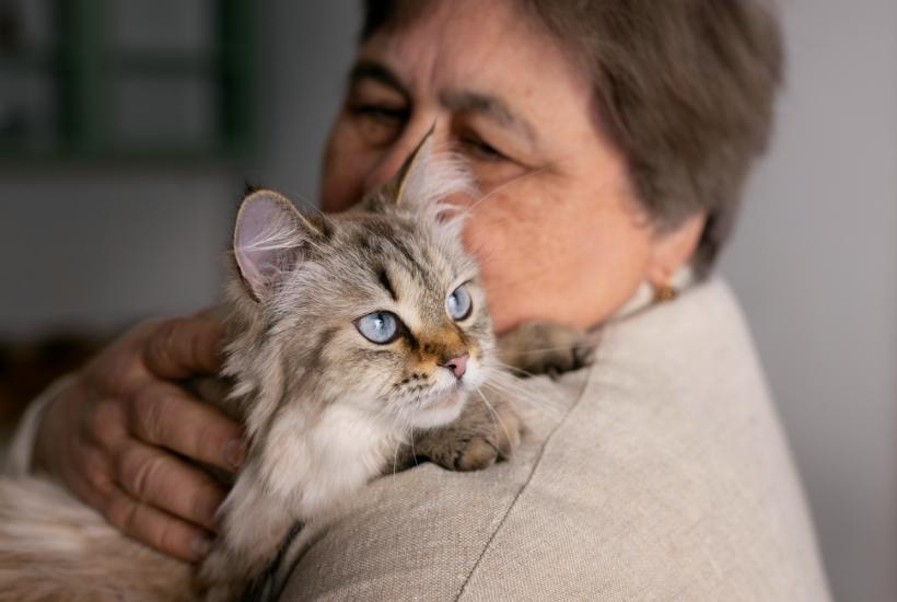 Кошка с пенсинером