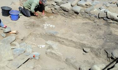 В Швейцарии спешно раскапывают гробницу железного века — AAFR