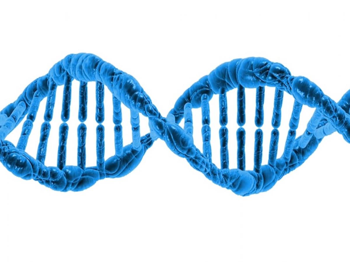 Новая технология поможет остановить генетические болезни до рождения
