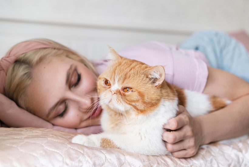 Девушка с кошкой Девушка с кошкой