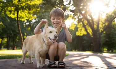 Кошки связаны с эмоциональной нестабильностью у детей — исследователи
