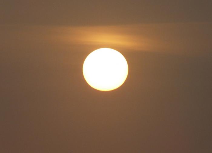 Биологи предупредили о смертельной опасности солнечного света
