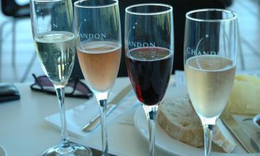 Жители Тувы могут уехать из региона на праздники из-за запрета алкоголя — Вассерман