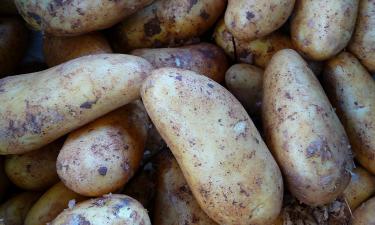 Житель Липецка потерял 40 тысяч рублей при покупке картофеля через демонстрацию экрана