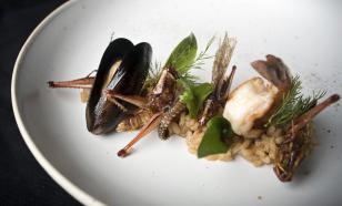 В Великобритании детей в школах будут кормить насекомыми