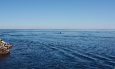 Изменение климата меняет ледовый режим Ладожского озера: что это значит для региона