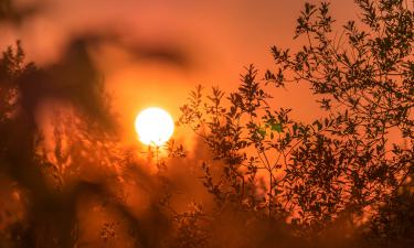 Африканская жара накрывает Россию: как готовиться к +32°C