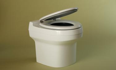 Трижды в неделю или дважды в день: простое правило, по которому кишечник сдаёт экзамен на здоровье