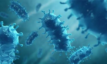 Рай без иллюзий: курорт Пхукета под защитой из-за одной из самых опасных инфекций