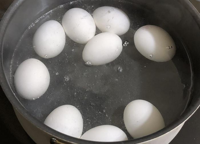 Ученые назвали доступные источники полезного белка