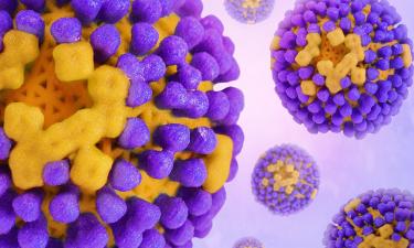 Горло, насморк и температура: летний вирус пришел на курорты и в мегаполисы