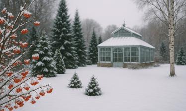 Холод вырывается из плена: прогнозы сулят Европе суровые морозы уже в декабре