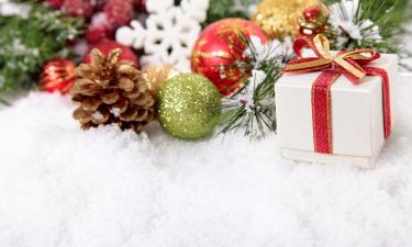 Чурикова и Пельш будут вести новогоднее шоу на Первом канале