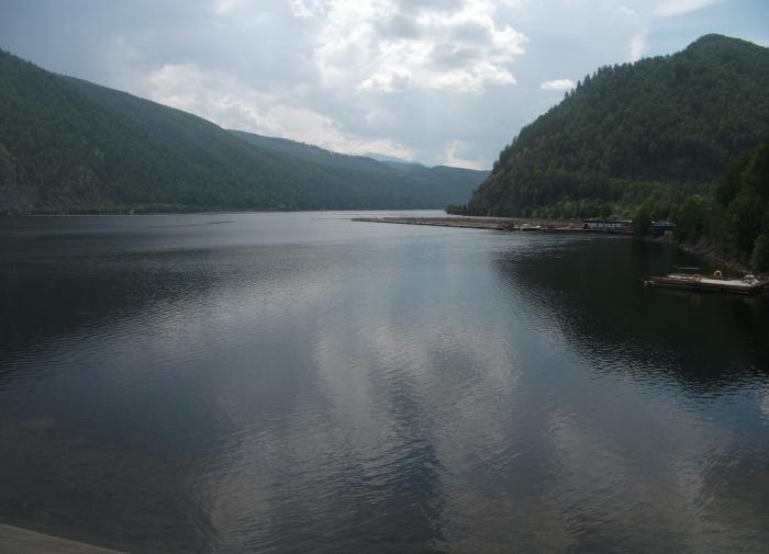 Ученые нашли новых жителей Енисея