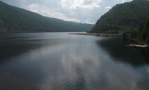 Ученые нашли новых жителей Енисея