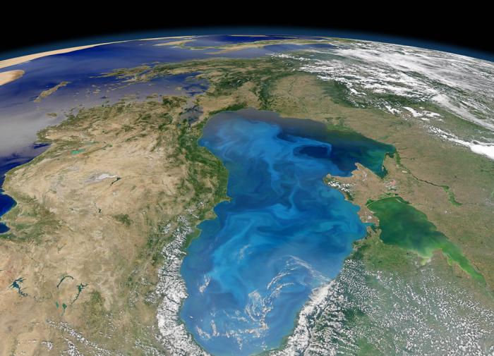 Создана самая точная карта затонувшего континента Зеландия