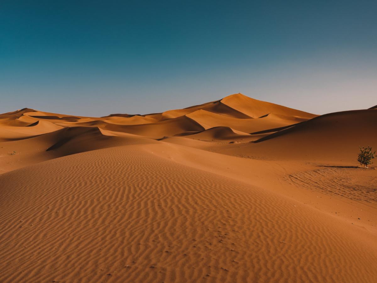 Климатические модели зафиксировали резкий рост дождей в Сахаре Science&Vie