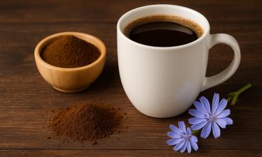 Настой цветков цикория имеет противовоспалительный эффект — агрономы