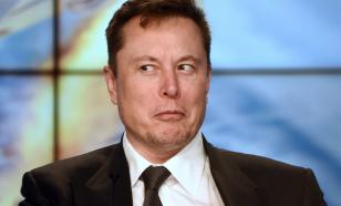 Илон Маск задумывается о приобретении сиба-ину в честь Dogecoin