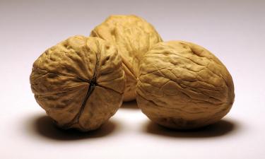 Омега-3 из грецких орехов поддерживают нервную систему — raig.it
