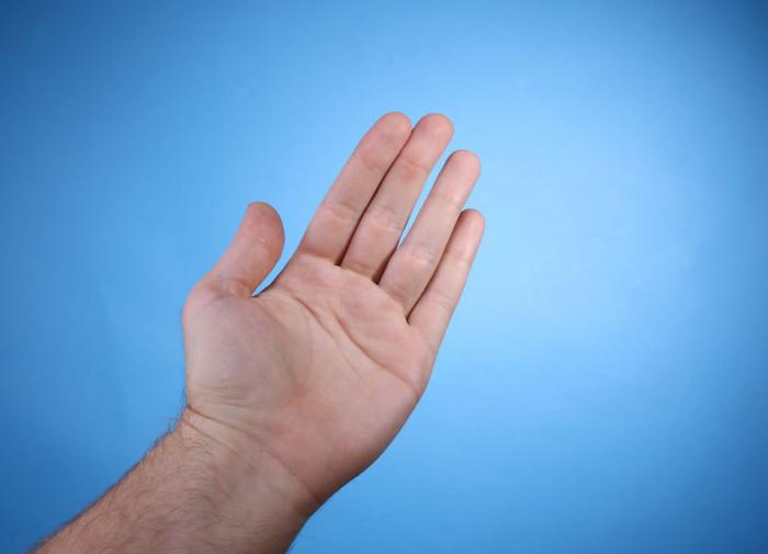 Plos One: учëные разработали метод определения пола человека по запаху ладоней