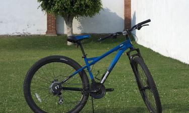 Татьяна Плаксина призналась, что отёчность её лица связана с давней травмой