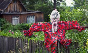 За раздевание соседского чучела вологжанка попала под суд