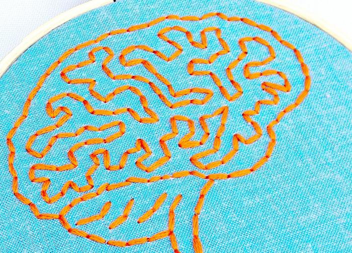 MBoC: учёные из Швейцарии нашли новый орган в организме человека