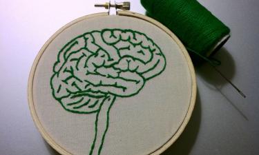 Черепно-мозговая травма больше не приговор? Новое вещество защищает мозг от последствий