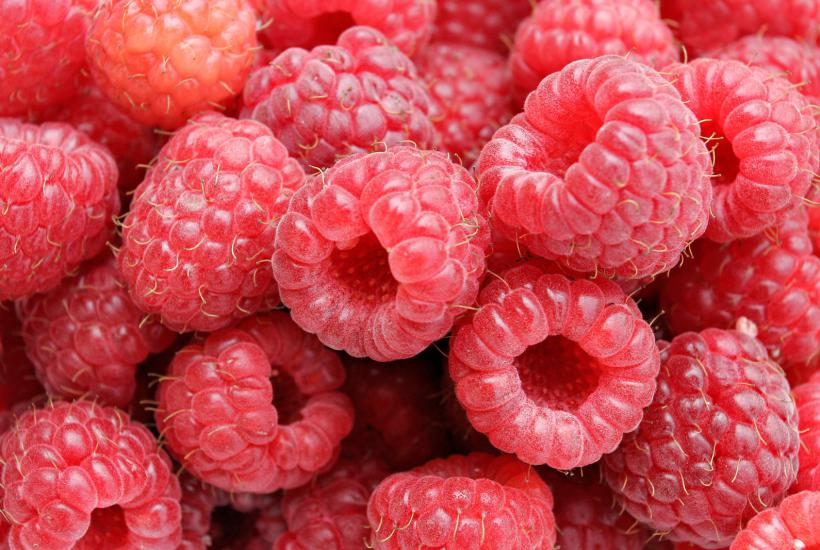 Raspberries05 Raspberries05