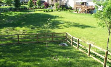 Государственная земля дешевле квартиры: как попасть на аукцион, где цены падают в разы