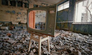 Дикие чернобыльские кабаны светятся до сих пор, хотя прошло свыше 30 лет