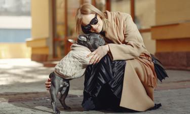 Теплая одежда нужна собакам на прогулке с больными суставами — кинолог Голубев