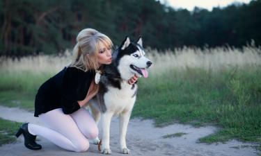 Отраву для собак часто оставляют возле детских площадок — эксперт Балагуров