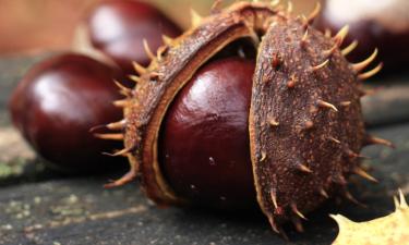 Всего 90 ккал и мощный детокс-эффект: продукт, который может заменить сладости и вредные перекусы