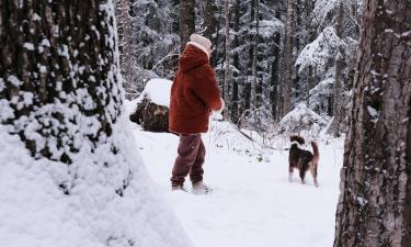 Щенки и пожилые собаки замерзают за 15 минут прогулки — Белновости