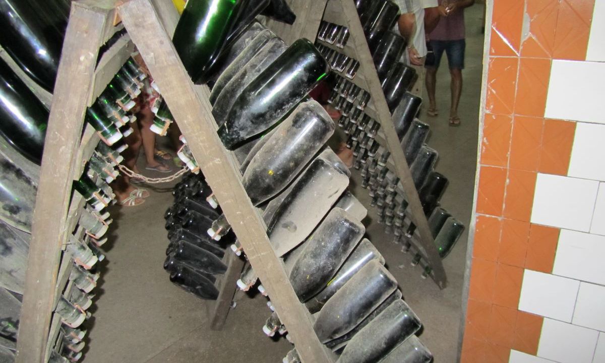 Учёные обнаружили пользу шампанского для работы сердца и памяти