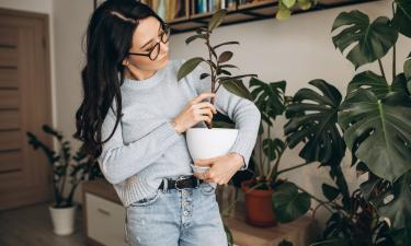 Чашка кофе, пепел и яичная скорлупа — полезные удобрения для ваших растений