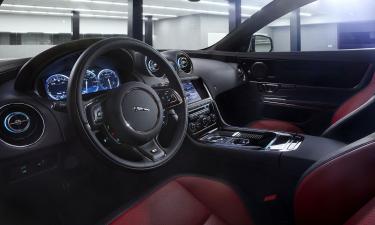 Салон после поездки с питомцем обрастает шерстью: одна хитрость решает проблему за минуты