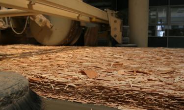 InventWood потрясла строительный мир: этот материал прочнее стали, но сделан из дерева