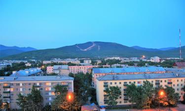Сахалин делится опытом углеродной нейтральности с Японией на форуме