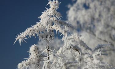 В Сибири прогнозируют морозы ниже –40, на юге — частые оттепели зимой 2026 года