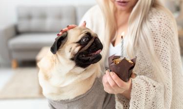 Эти шоколадно-ореховые маффины тают во рту — Varecha