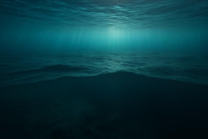 Токсичное море