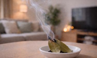 Дёшево, просто и эффективно: лавровый лист оказался неожиданным помощником в доме