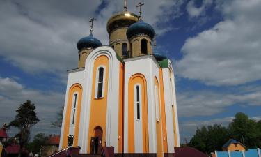 Тихий яд в душе растёт незаметно: Великий канон Андрея Критского разоблачает привычный грех осуждения