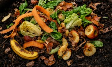 Траншейное компостирование снижает трудозатраты при переработке отходов в саду