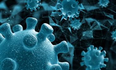 Контакт с животными оборачивается риском: вирусы, которые годами готовят сюрприз